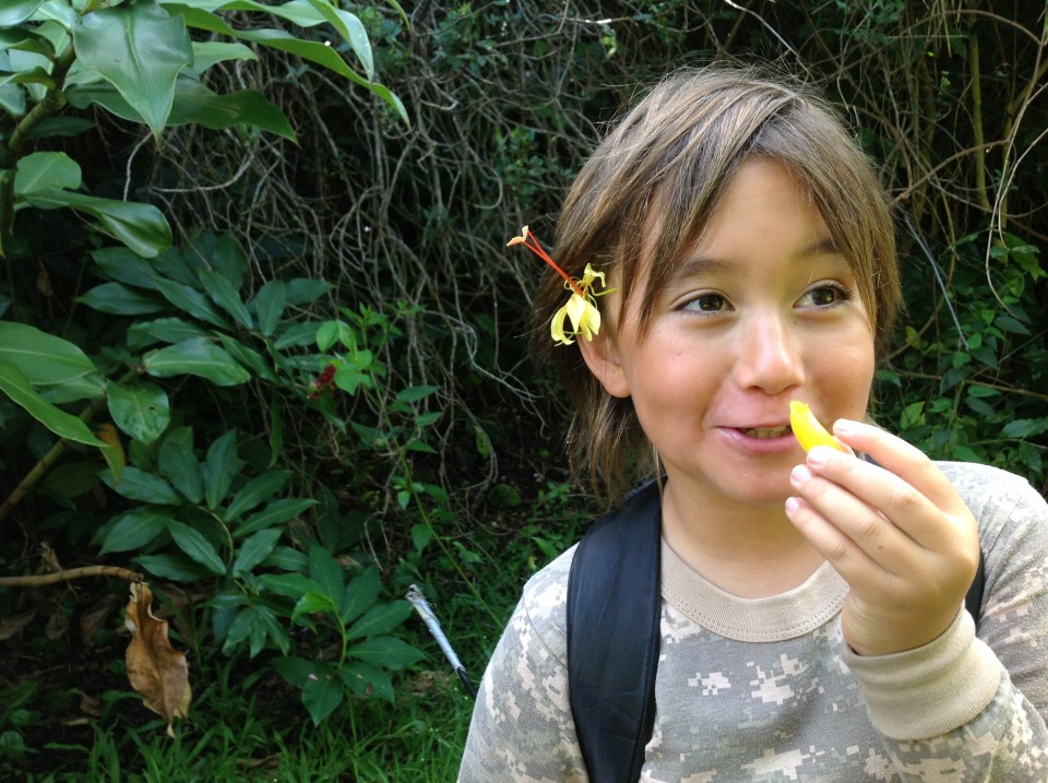 girl eating kine flowers girl eating kine flowers